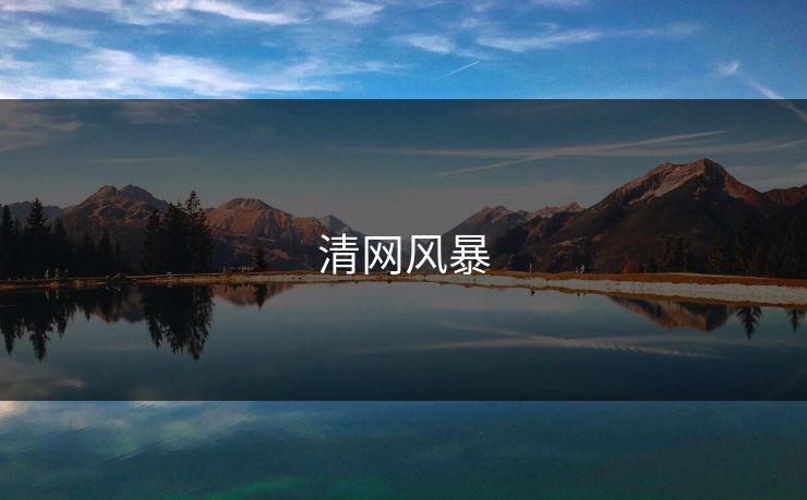 清网风暴