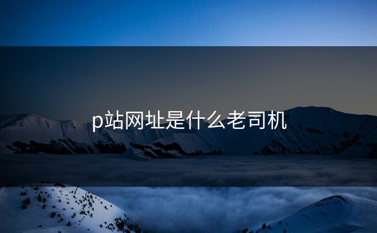 p站网址是什么老司机
