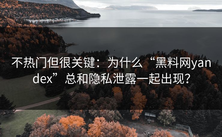 不热门但很关键：为什么“黑料网yandex”总和隐私泄露一起出现？